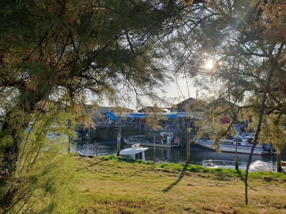 La Maisonnette De Suzette لانتون المظهر الخارجي الصورة